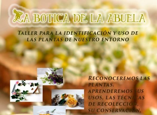 SAN ESTEBAN DE LITERA: Taller para la identificación y uso de las plantas
