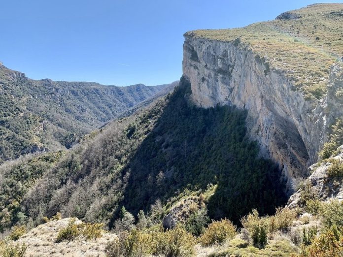 Guara
