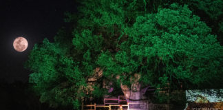 Noche mágica en el Sobrarbe