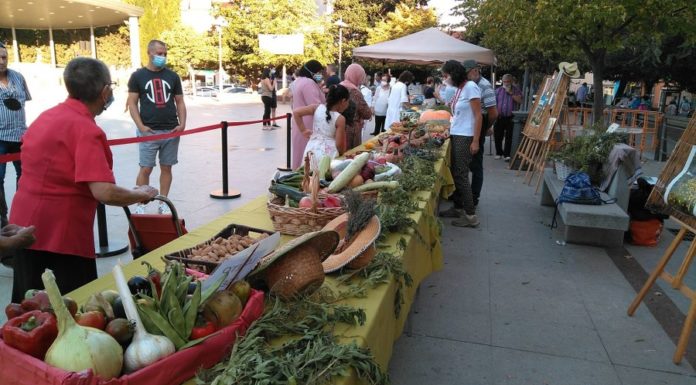 Diecisiete expositores muestran sus productos en la exposición de huertos ecológicos de Binéfar