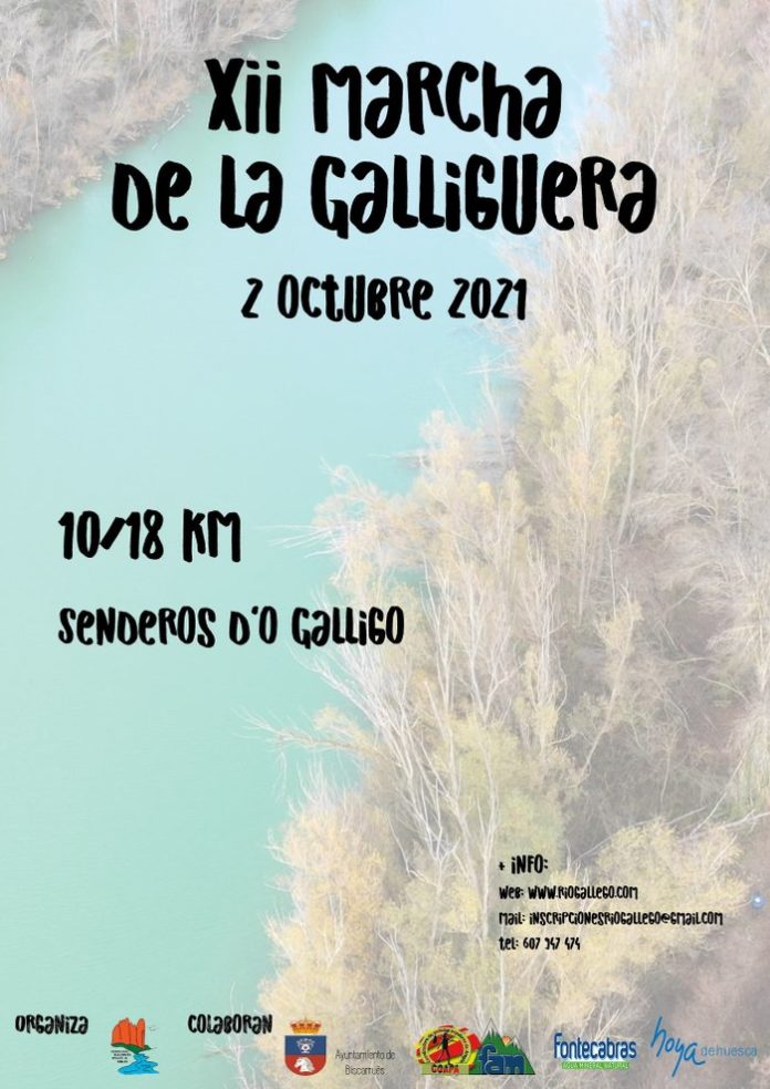 XII Marcha por La Galliguera
