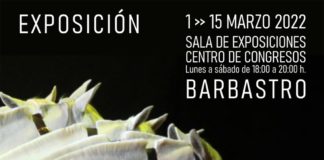 BARBASTRO: Cría caballar de las Fuerzas Armadas