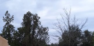 Vandalismo en la ermita del Plano de Barbastro