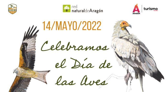 BIERGE: Actividad con las aves migratorias