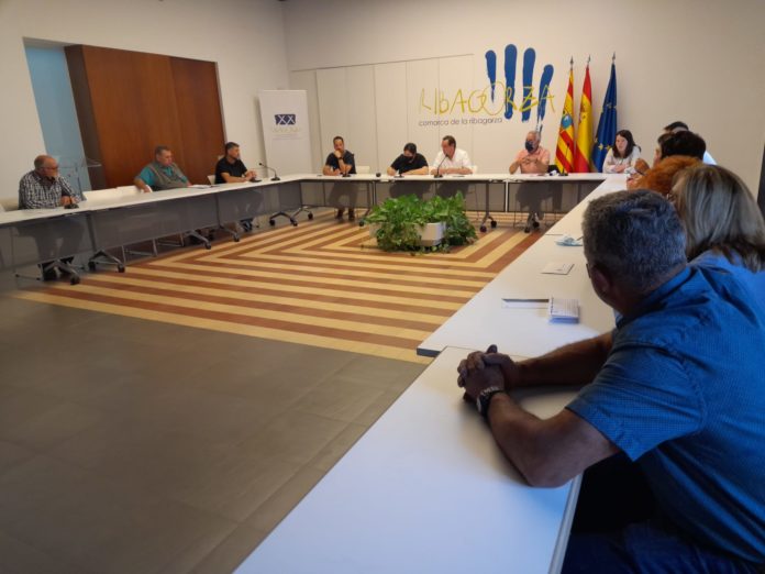 Pleno del Consejo de la Comarca de La Ribagorza (Foto: Servicio especial)