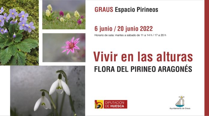 Exposición en el grausino Espacio Pirineos