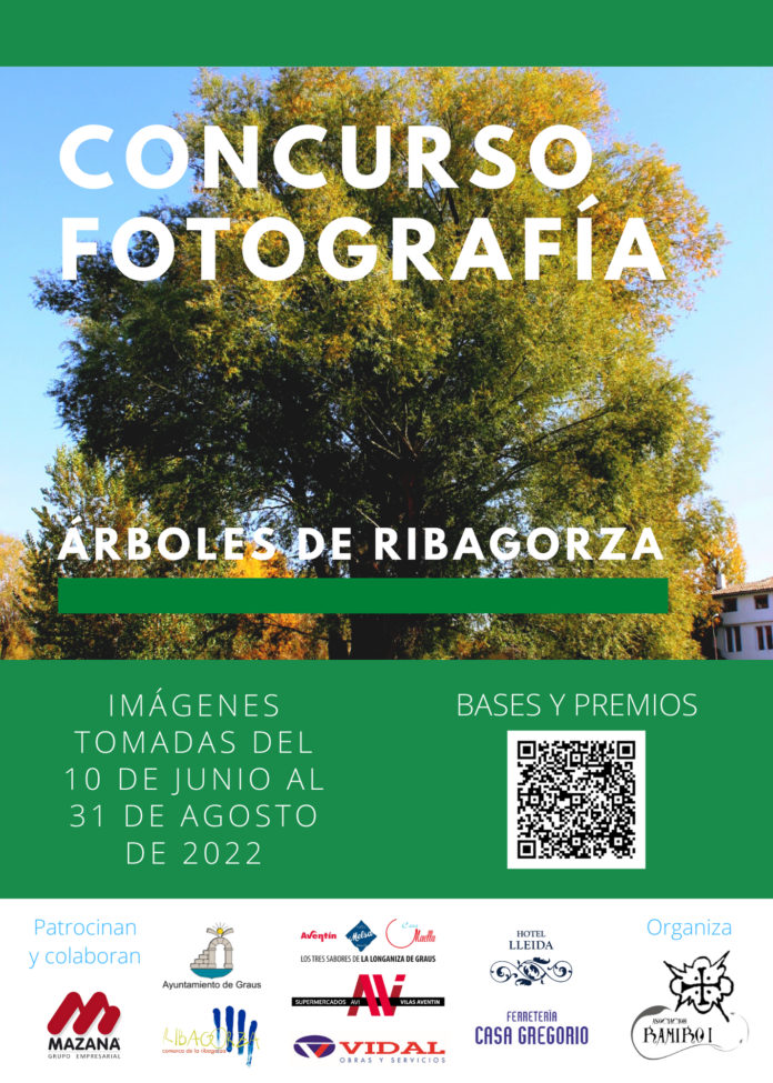 Graus. Concursos fotografía Ramiro I