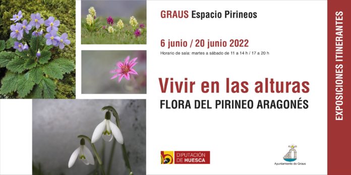 Cartel de la exposición
