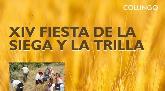 COLUNGO: XIV Fiesta de la Siega y la Trilla