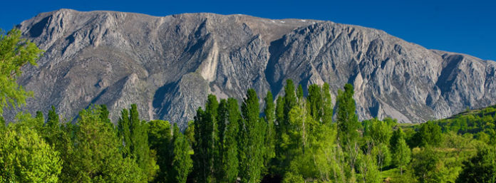 torre_rivera