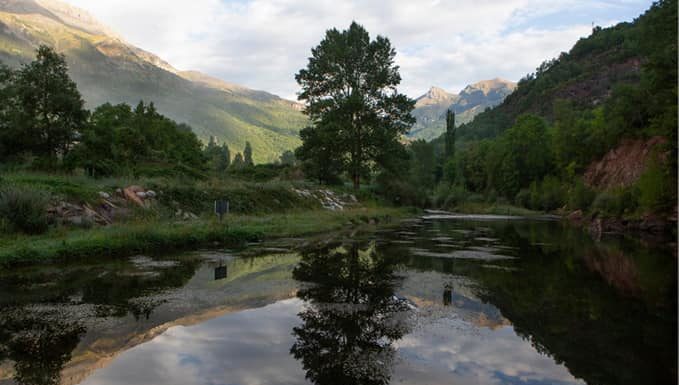 GRAUS: Exposición del concurso de fotografía árboles de la Ribagorza
