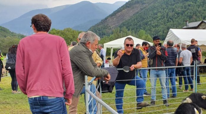 BROTO: Feria ganadera