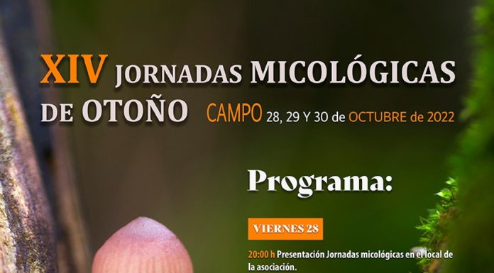 CAMPO: XIV Jornadas micológicas de otoño