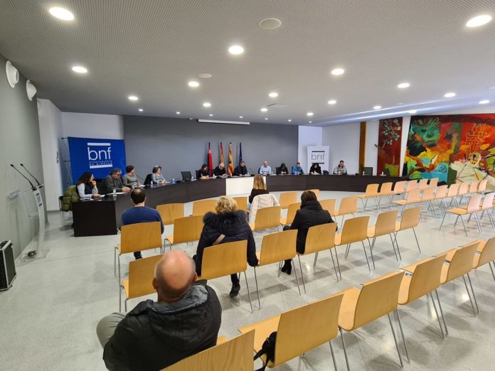 Pleno BNF