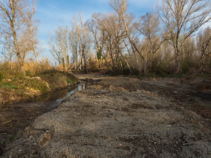 Zona de Especial Conservación- Soto de Alcolea del río Cinca