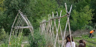 El Huerto Escolar de Aínsa dona seis barquillas de acelgas a la residencia comarcal La Solana