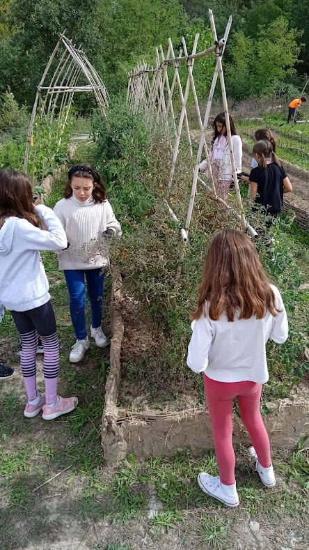 Huerto Escolar de Aínsa