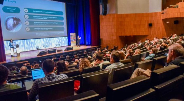 La Semana del Emprendimiento en Aragón 2023 llega con los mejores proyectos emprendedores de la comunidad en sus 35 eventos