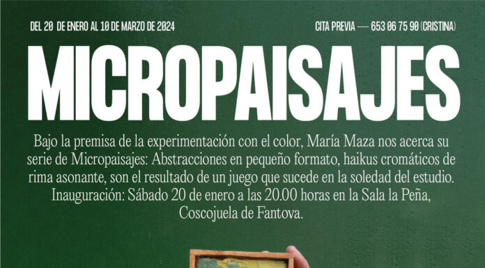 COSCOJUELA DE FANTOVA: Exposición de «Micropaisajes» (María Maza)