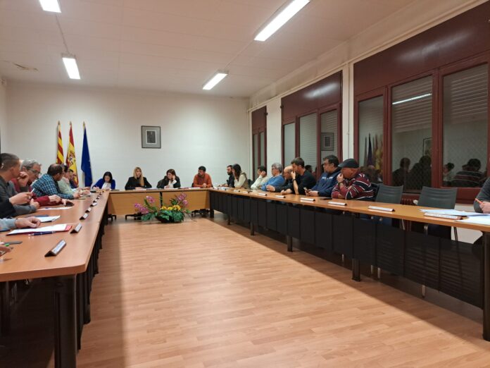 Pleno_consejo_comarcal280224_2