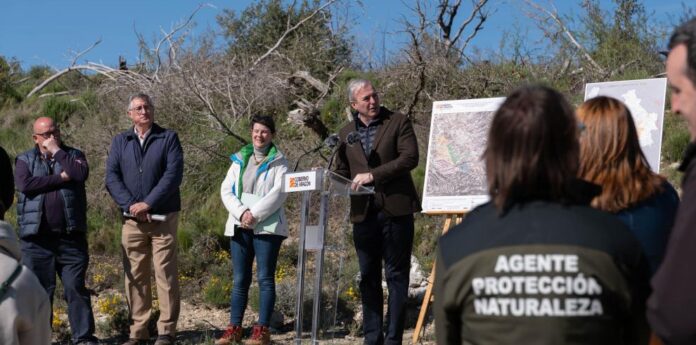 Plan de Reforestación de Aragón 2024-2027. Leciñena