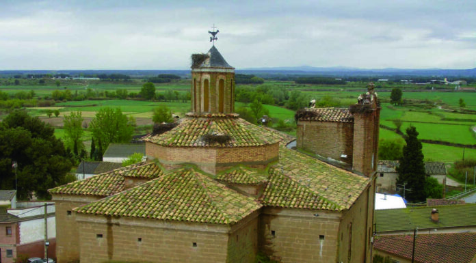 Especial San Jorge: Joaquín Monesma | Almuniente