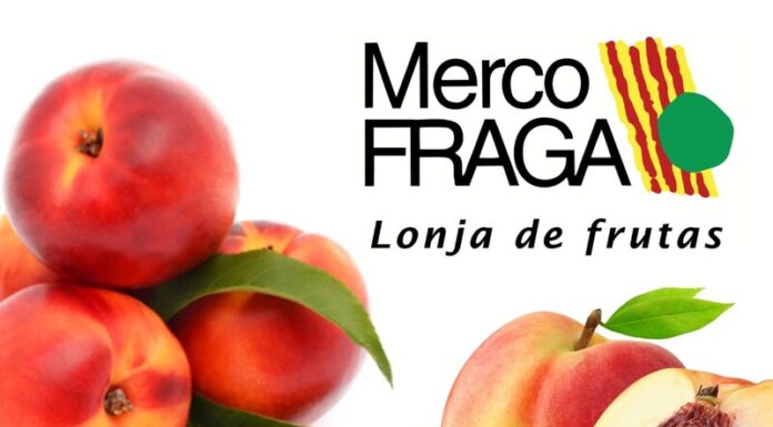 MercoFraga comenzará la campaña 2024 el 3 de junio