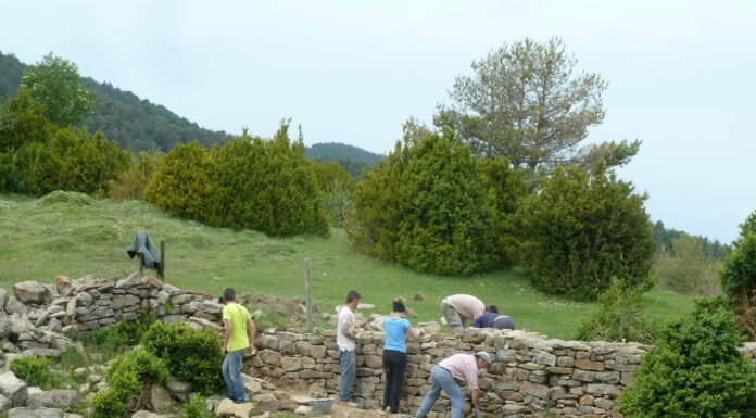 SOBRARBE: IV Taller de Piedra Seca