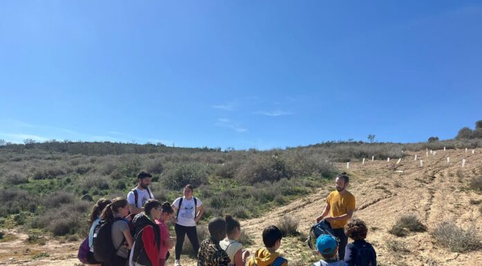 Binéfar recupera zonas verdes y realiza un estudio del ecosistema gracias al programa JOVEM FSE Aragón 2021 – 2027