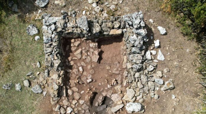 La ganadería del Sobrarbe hace 7000 años: nuevos avances en las investigaciones arqueológicas