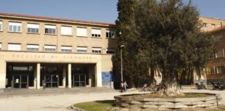 1.308 universitarios recibirán este curso una beca de movilidad del Gobierno de Aragón