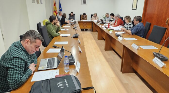 La Comarca de Sobrarbe aprueba un presupuesto de más 7’3 millones de euros para 2025
