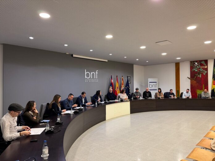 Pleno Binéfar febrero 2025