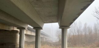 Fraga elimina la vegetación inerte en las arcadas del Puente Pequeño