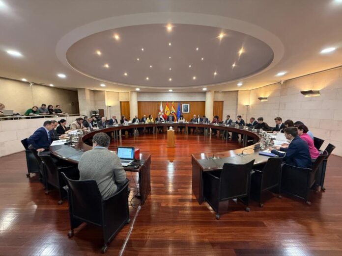 REDUCIDA Pleno ordinario del mes de marzo de la DPH