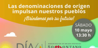 Somontano celebrará el ‘Día Vino DO’ en Huesca