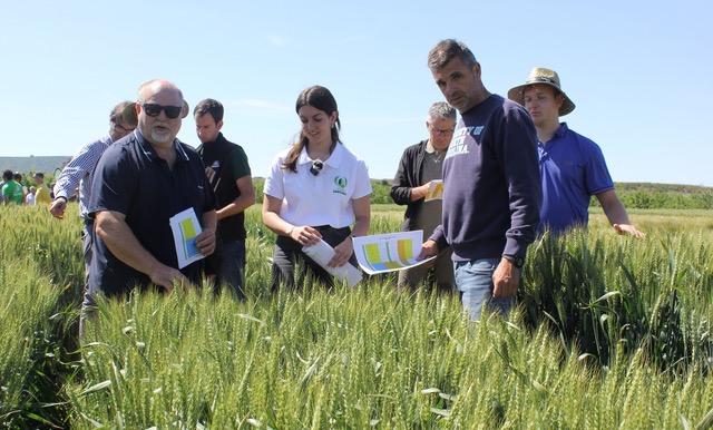 Jornada de transferencia de cereal de invierno en Fraella