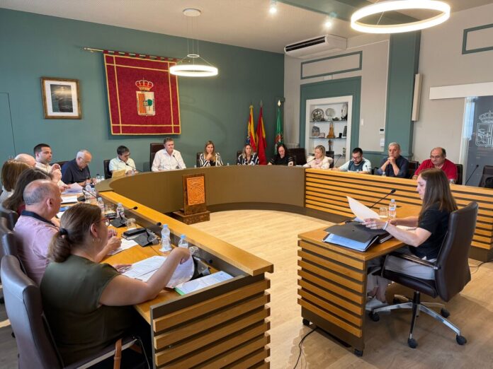 Pleno Mayo_