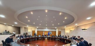 La DPH reconoce la gran labor realizada por todos los profesionales y vecinos durante el apagón