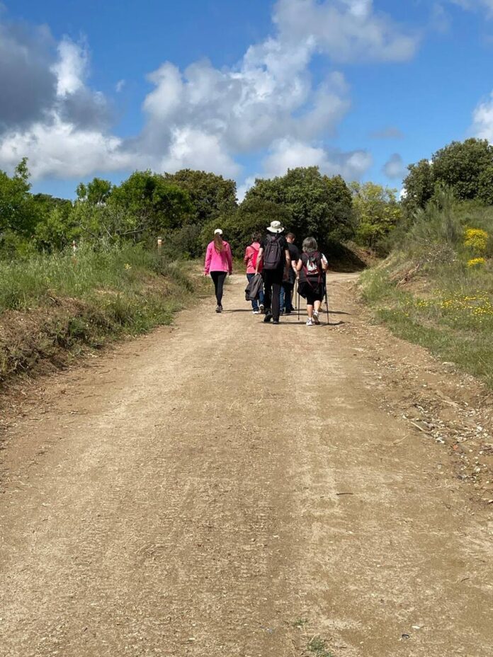camino Barbastro
