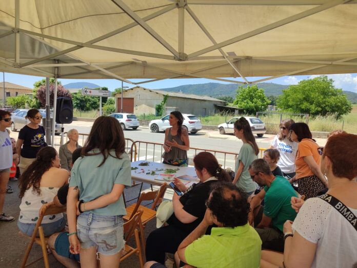 TALLER CARPA EXTERIOR MEDICINA PARA EL ALMA