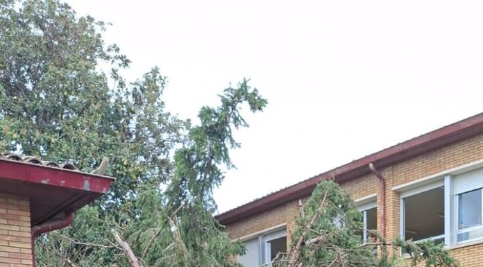 La Comarca de La Litera pide al Gobierno de Aragón ayudas de urgencia por las fuertes tormentas