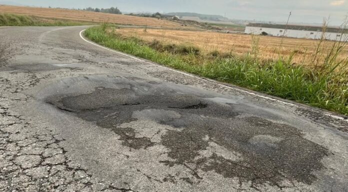 Las Cortes de Aragón aprueban por unanimidad la mejora de la carretera A-1239