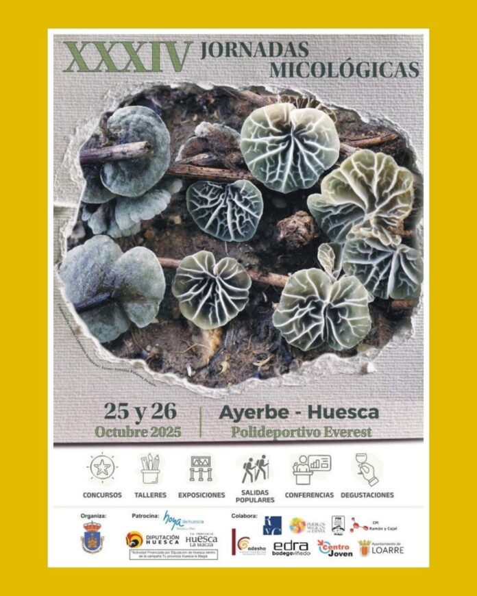 AYERBE: XXXIV Jornadas Micológicas