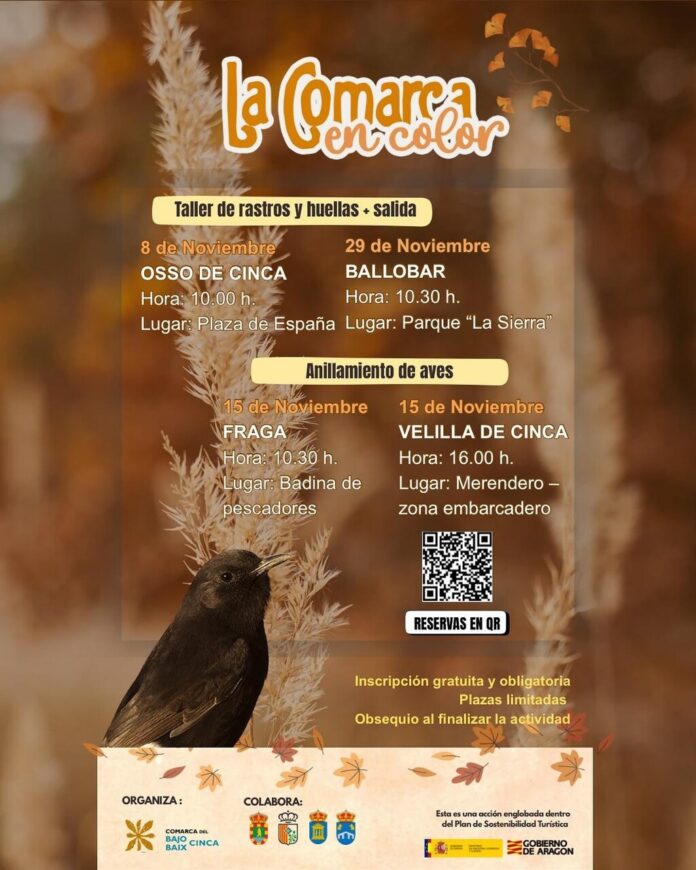 BAJO CINCA: La comarca en color