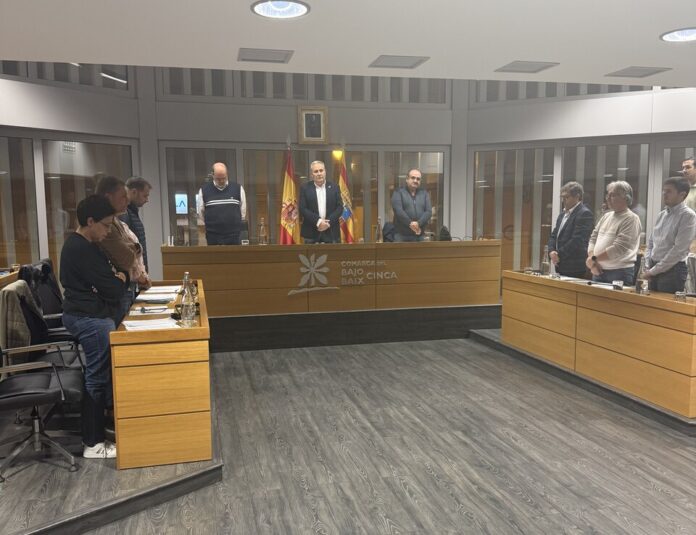 Pleno comarca Bajo Cinca 2025 noviembre
