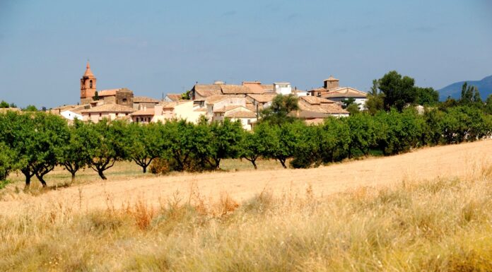 Interés autonómico de una inversión de 78,7 millones en una planta de generación de hidrógeno renovable de Plasencia del Monte
