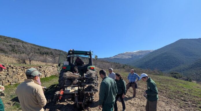 El CITA, a través del proyecto LIFE Pyrenees4Clima, impulsa el cultivo de plantas aromáticas y medicinales