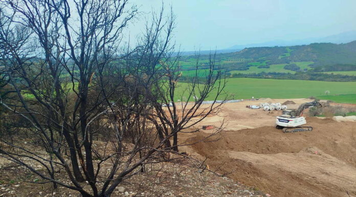 Denuncian la ampliación de una granja porcina en Abiego, en terrenos de monte arbolado que se incendiaron el año pasado