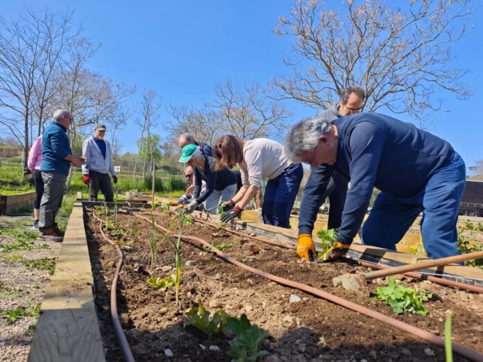 Sigue el curso de gestión de huertos ecológicos con la segunda sesión práctica